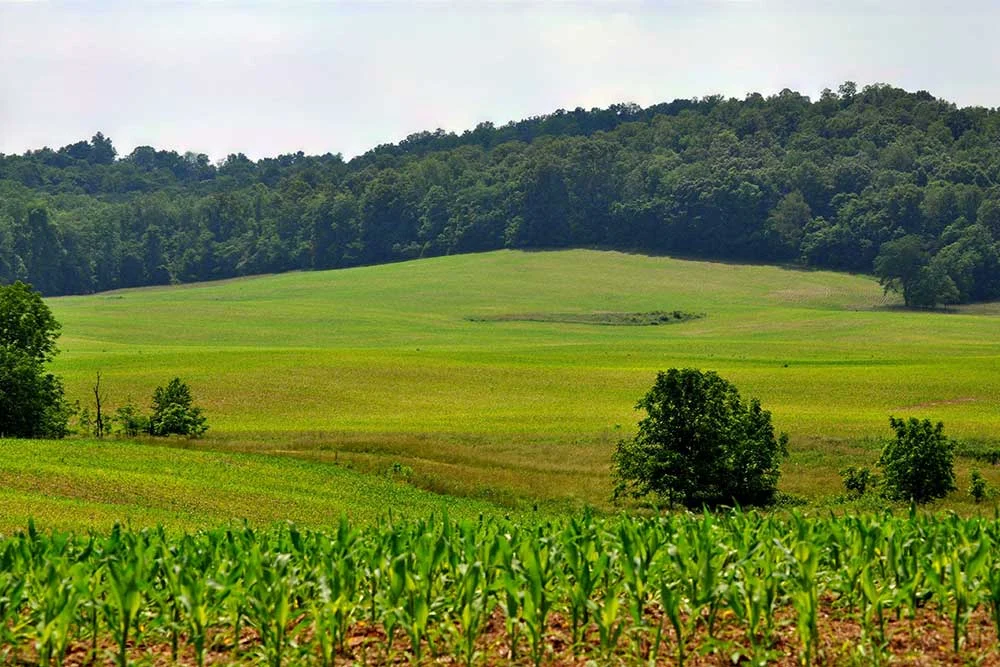 Breaking-Down-Adverse-Possession-For-Real-Estate-in-Indiana-1 Adverse Possession in Indiana: Law, Claims & Property Rights