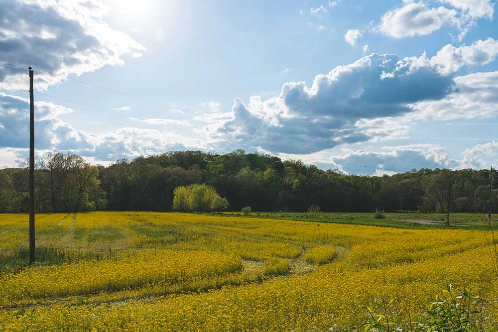 Breaking-Down-Adverse-Possession-For-Real-Estate-in-Indiana-3 Adverse Possession in Indiana: Law, Claims & Property Rights