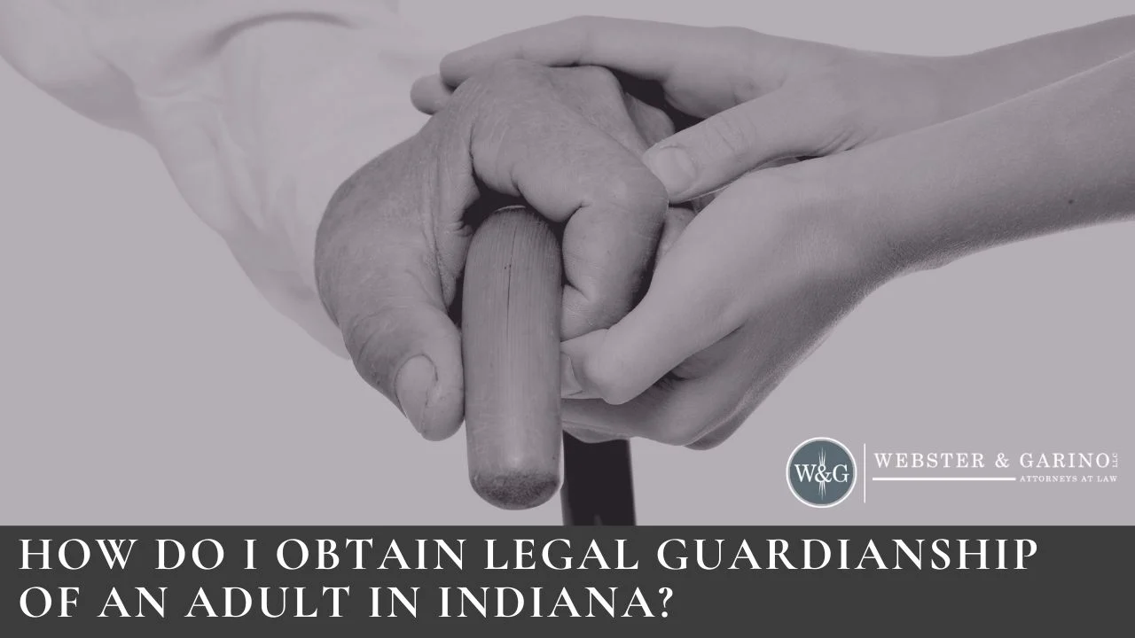 elderly guardianship elderly guardianship