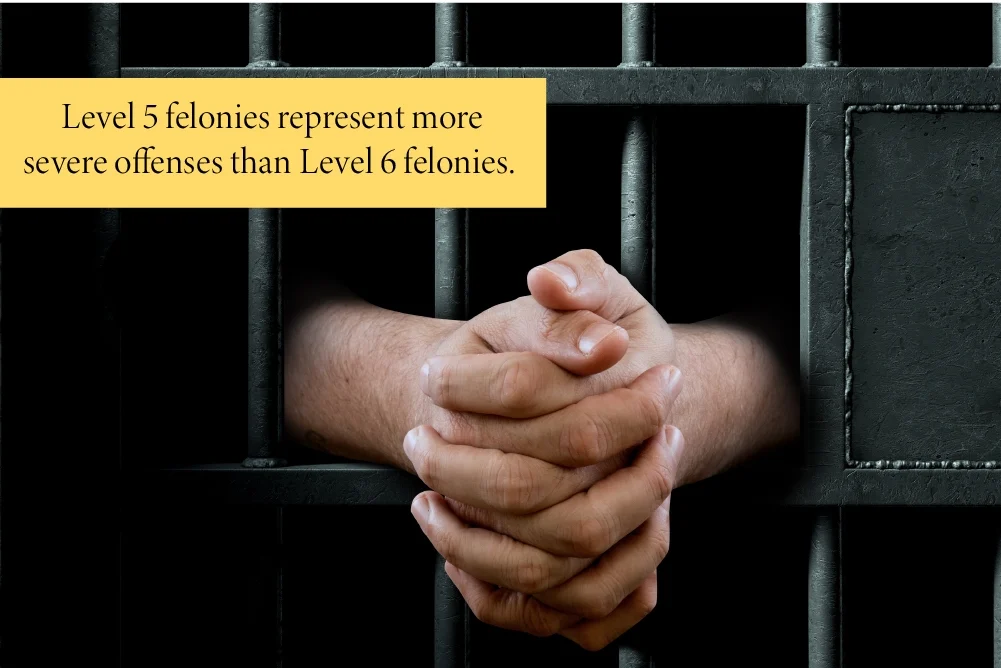 Expunging F5 and F6 Felonies in Indiana