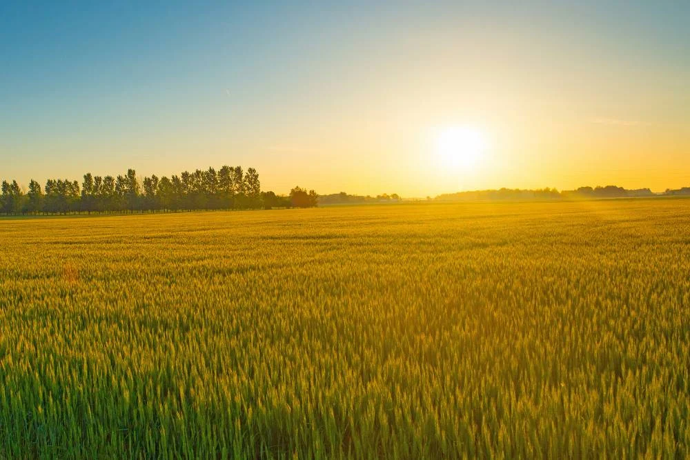 39 Divorce Lawyer in Tipton, IN | Trusted Family Law Attorneys